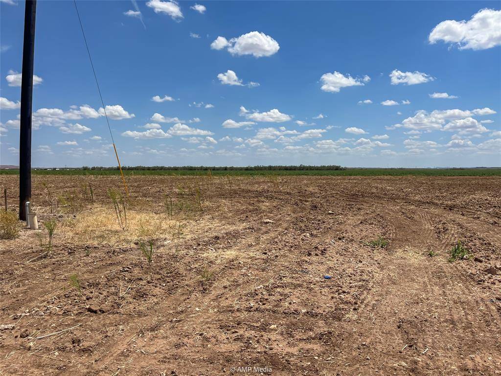 Hawley, TX 79525,TBD 19 PR Circle T