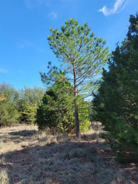 Azle, TX 76020,TBD Lot 6 Phillips Drive