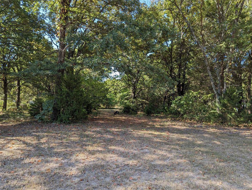 Mabank, TX 75156,105 Forest Lane