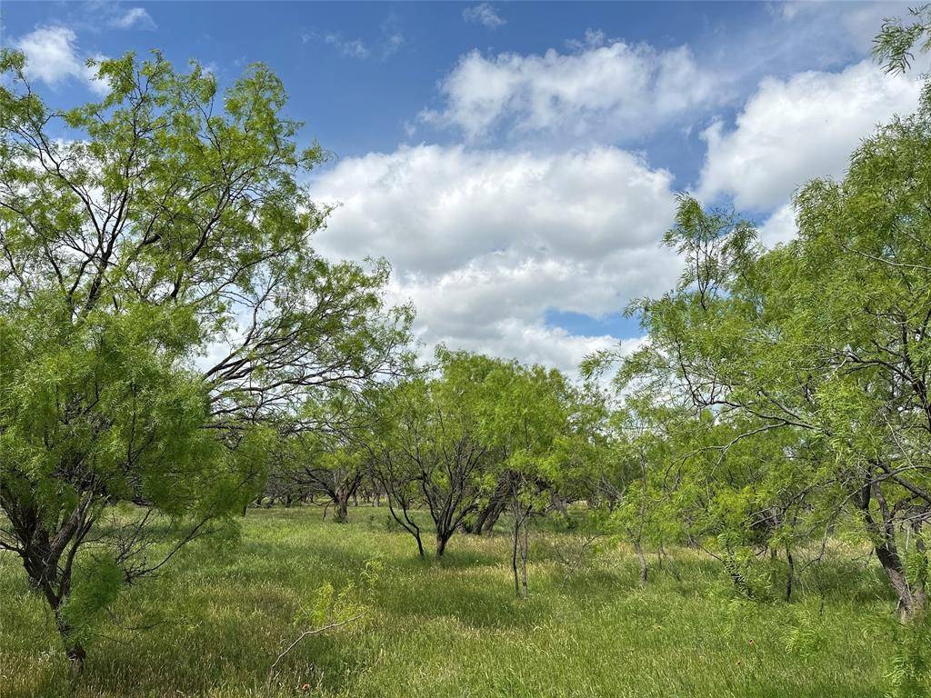 Abilene, TX 79601,Tract 15 CR 150