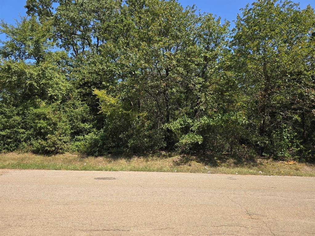 Mabank, TX 75156,TBD Brokenbow Drive