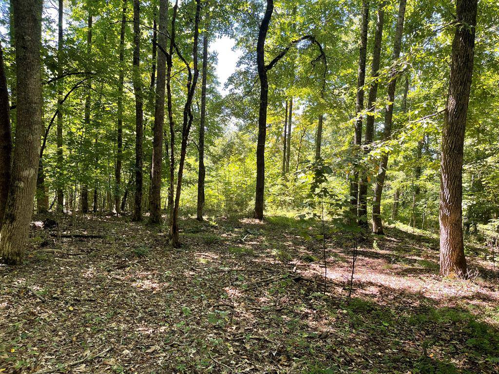 Hayesville, NC 28904,Lot 11B Grandview Drive