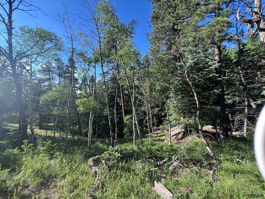 San Isabel, CO 81069,Lot 7 Wonder Trail