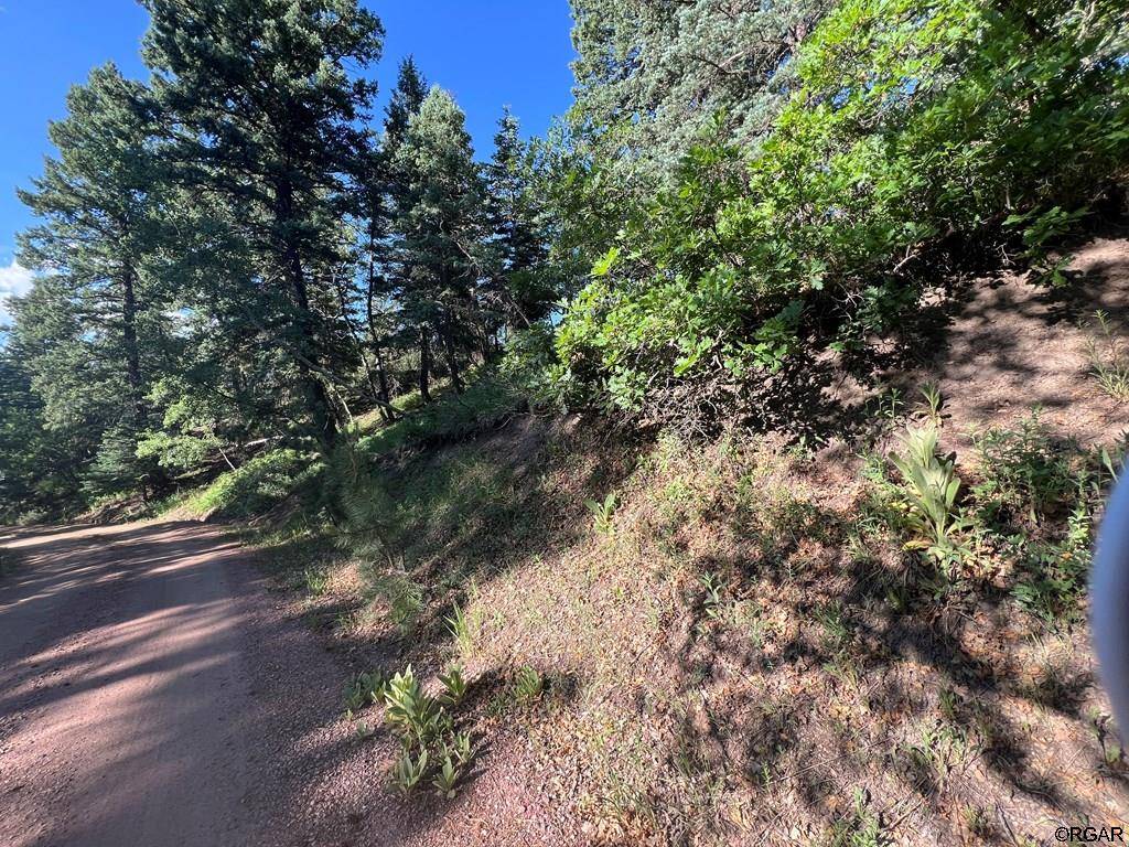 San Isabel, CO 81069,Lot 7 Wonder Trail