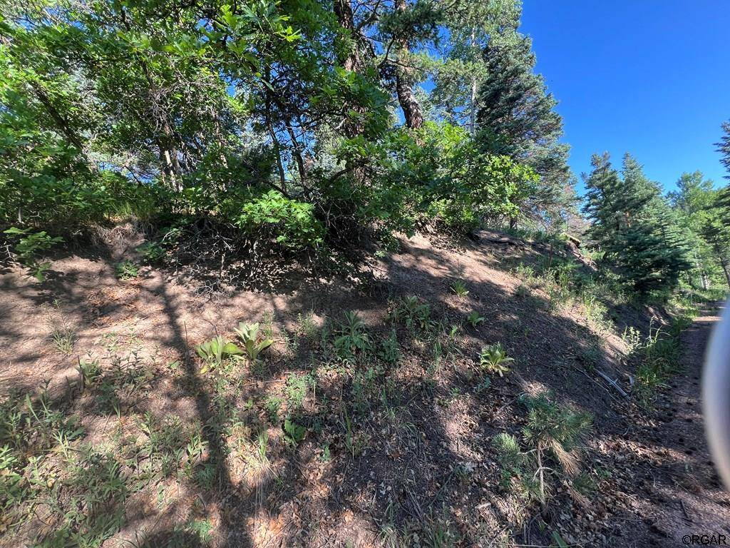 San Isabel, CO 81069,Lot 7 Wonder Trail