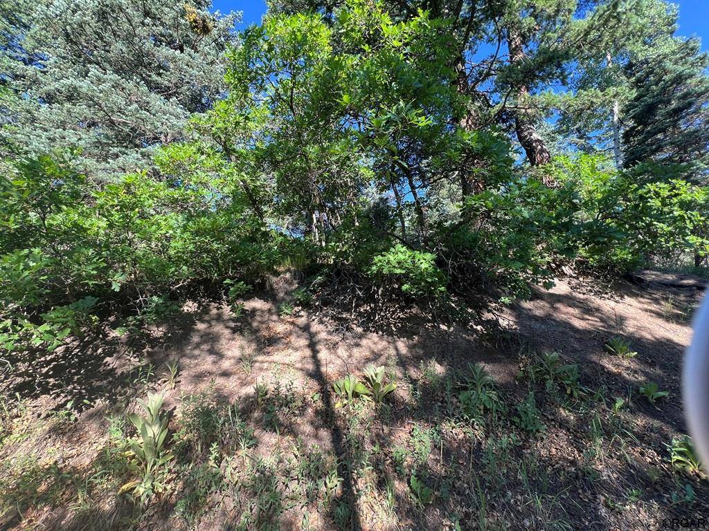 San Isabel, CO 81069,Lot 7 Wonder Trail