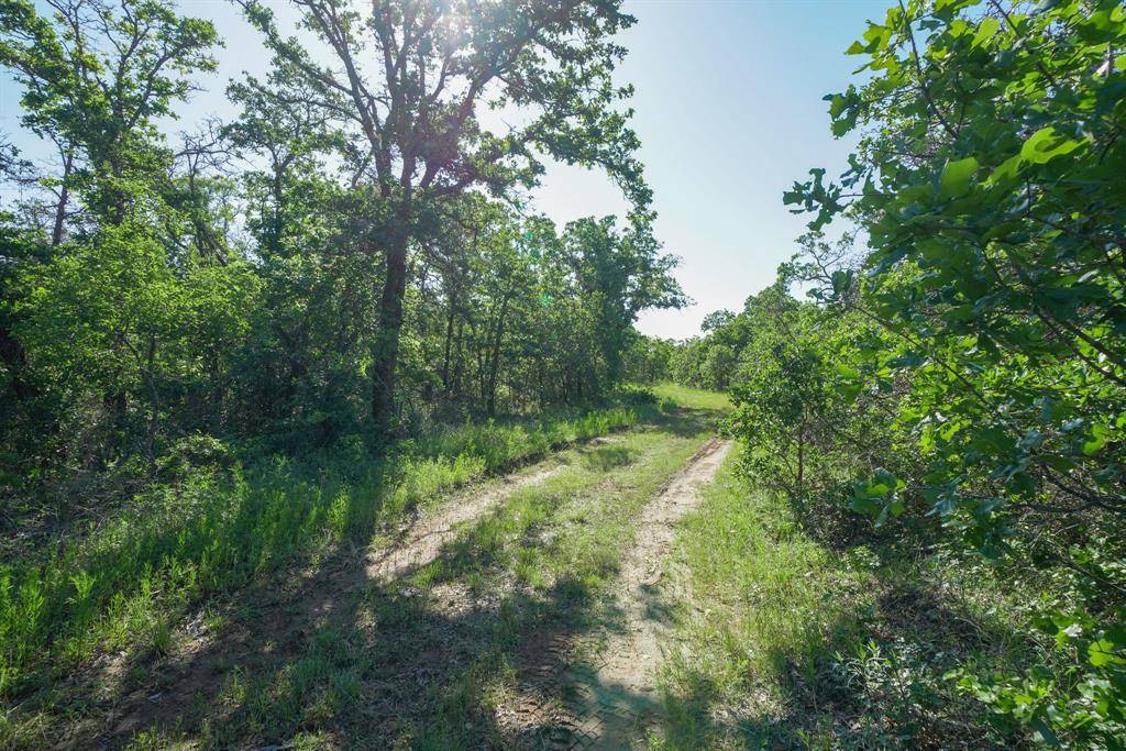 Gordon, TX 76453,TBD Lot 18.2 Clayton Mountain Road