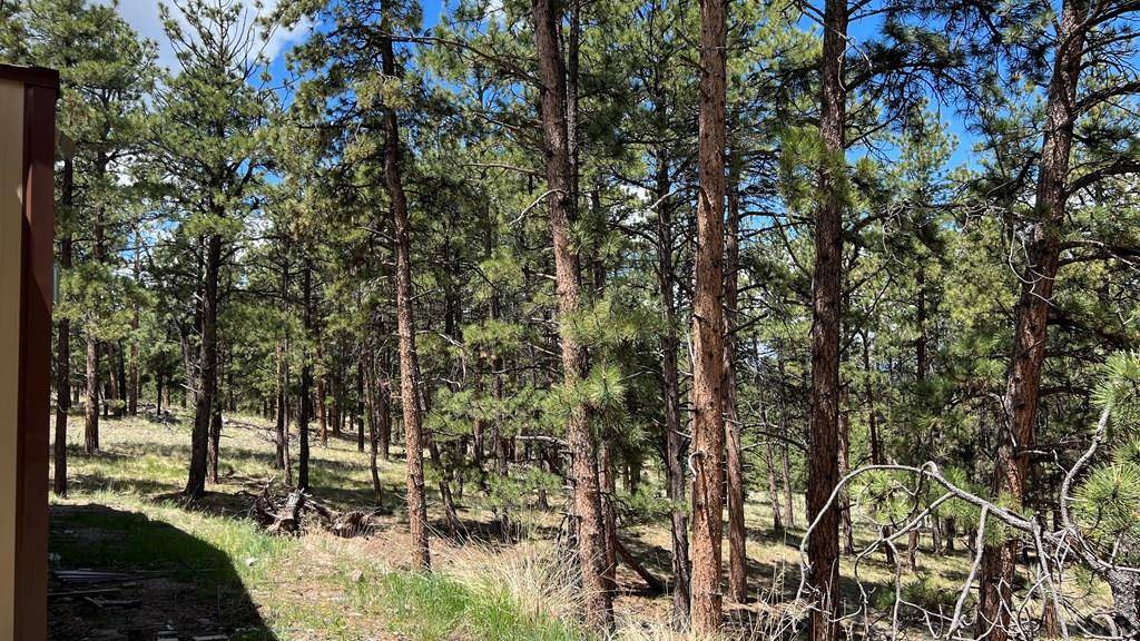 Westcliffe, CO 81252,207 Little Bear Dr