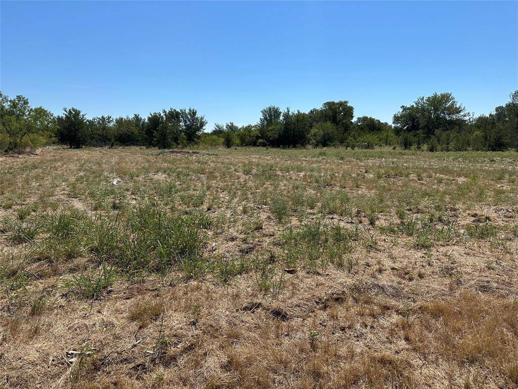 Graford, TX 76449,260 Cinnamon Teal