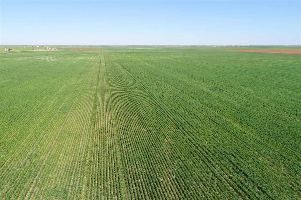 Vernon, TX 76384,TBD County Rd 81 S