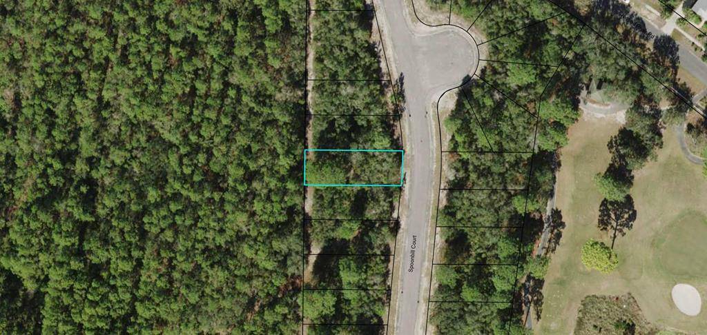 Lanark Village, FL 32323,115 Spoonbill Ct