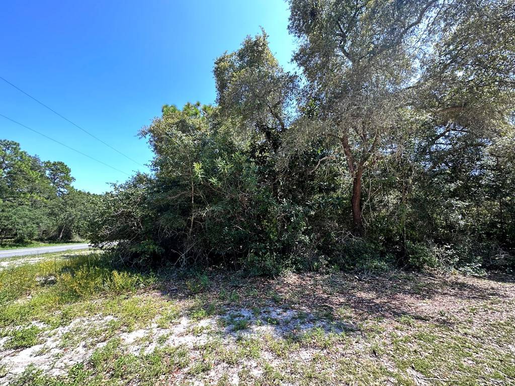 Lanark Village, FL 32323,2515 Oleander Ter