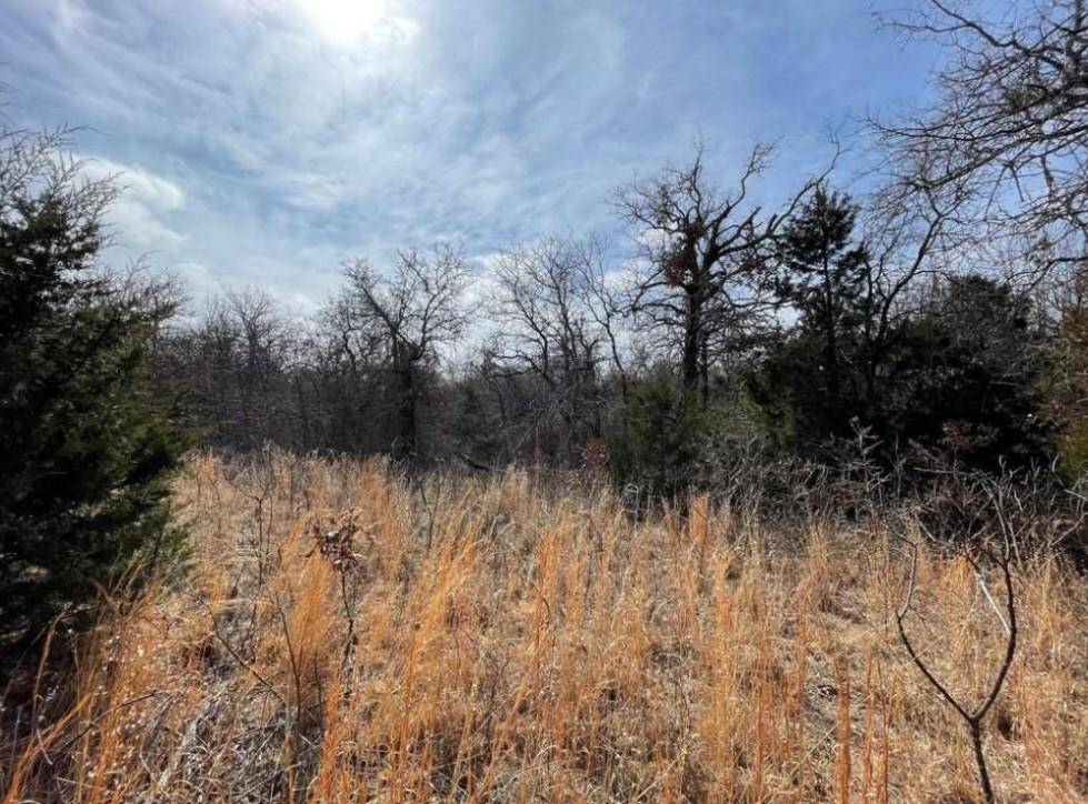 Harrah, OK 73045,0 Lot 14 Toad Road