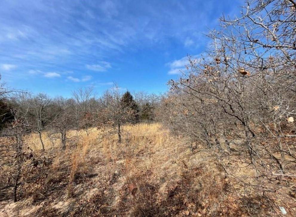 Harrah, OK 73045,0 Lot 9 Toad Road