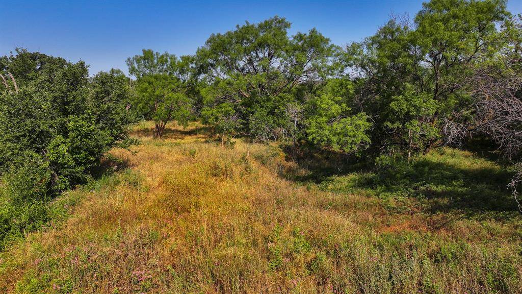 Breckenridge, TX 76424,6099 County Road 292