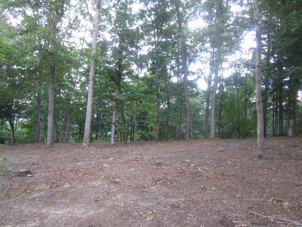 Blairsville, GA 30512,Lot 16 Apple Blossom Road