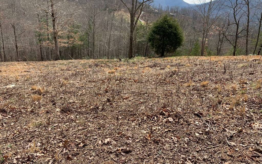 Hayesville, NC 28904,Lot 42 Dan Knob