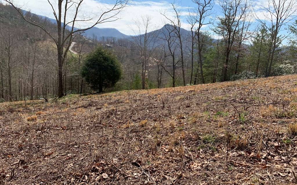 Hayesville, NC 28904,Lot 42 Dan Knob