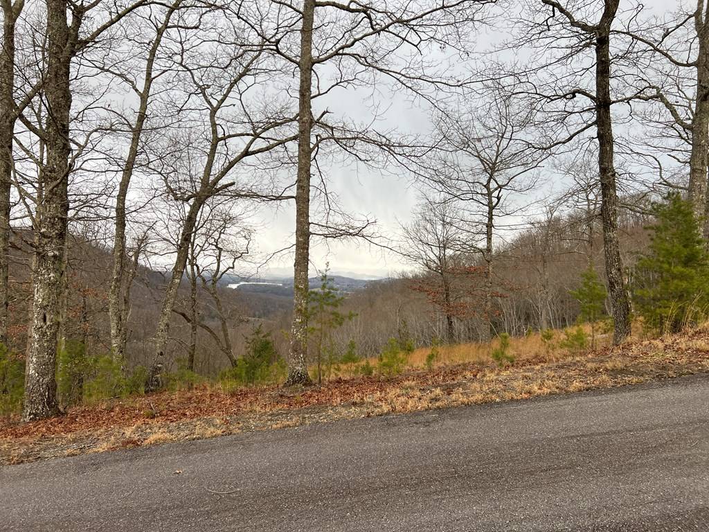 Hayesville, NC 28904,Lot 137 Shiloh