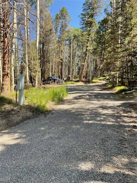 Cimarron, CO 81220,2020 Spruce RD