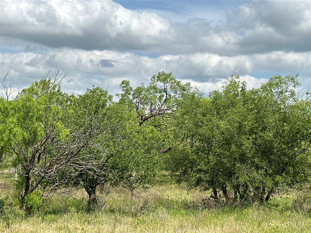 Abilene, TX 79601,Tract 17 CR 150