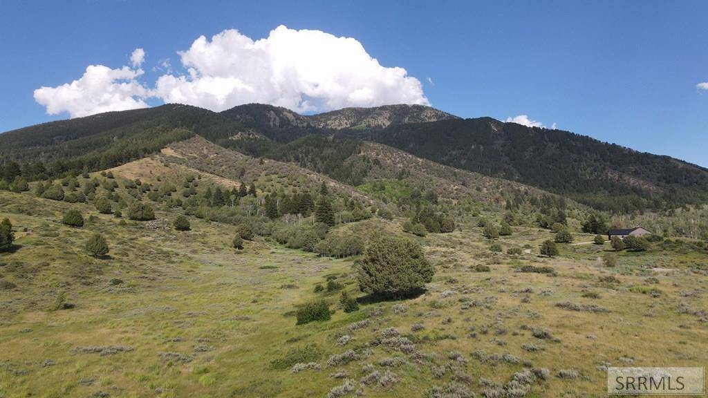 Swan Valley, ID 83449,Lot 17 Bull Elk Drive