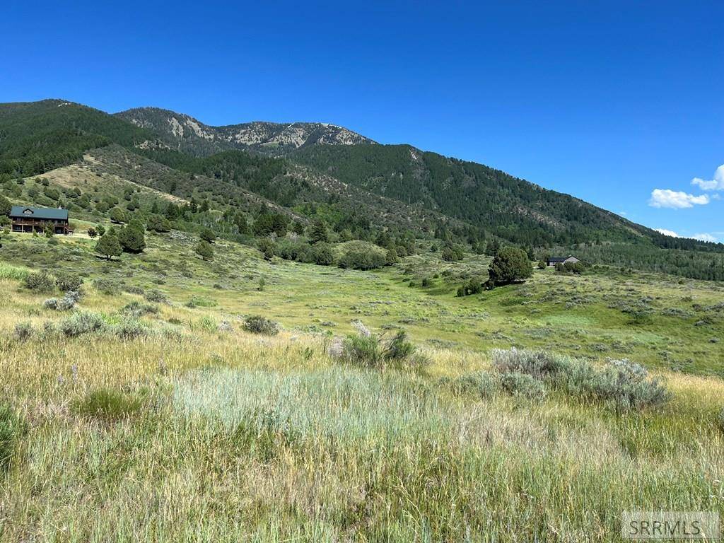 Swan Valley, ID 83449,Lot 17 Bull Elk Drive