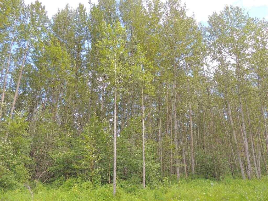 Rural Grande Prairie No. 1 County Of, AB T0H 1J0,Lot #49 Wapiti River SW-21-69-10-W6