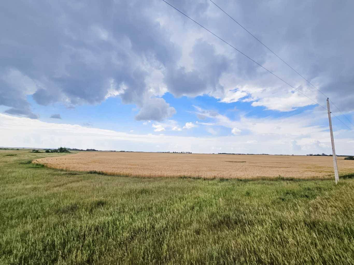 Rural Stettler No. 6 County Of, AB T0C 2L0,174 Range Road