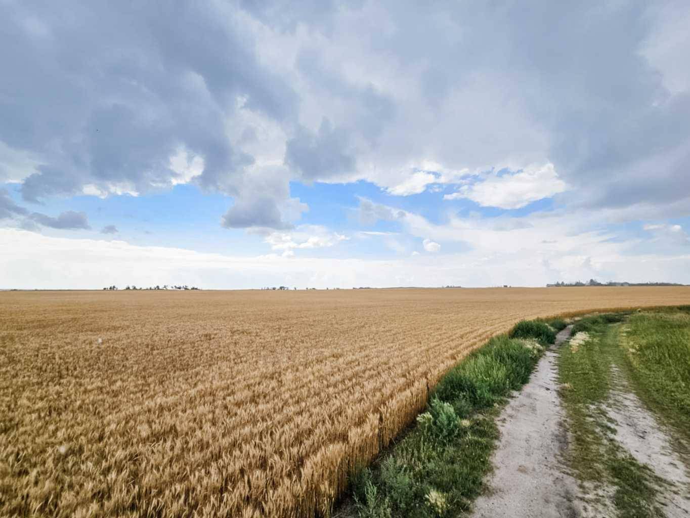 Rural Stettler No. 6 County Of, AB T0C 2L0,174 Range Road