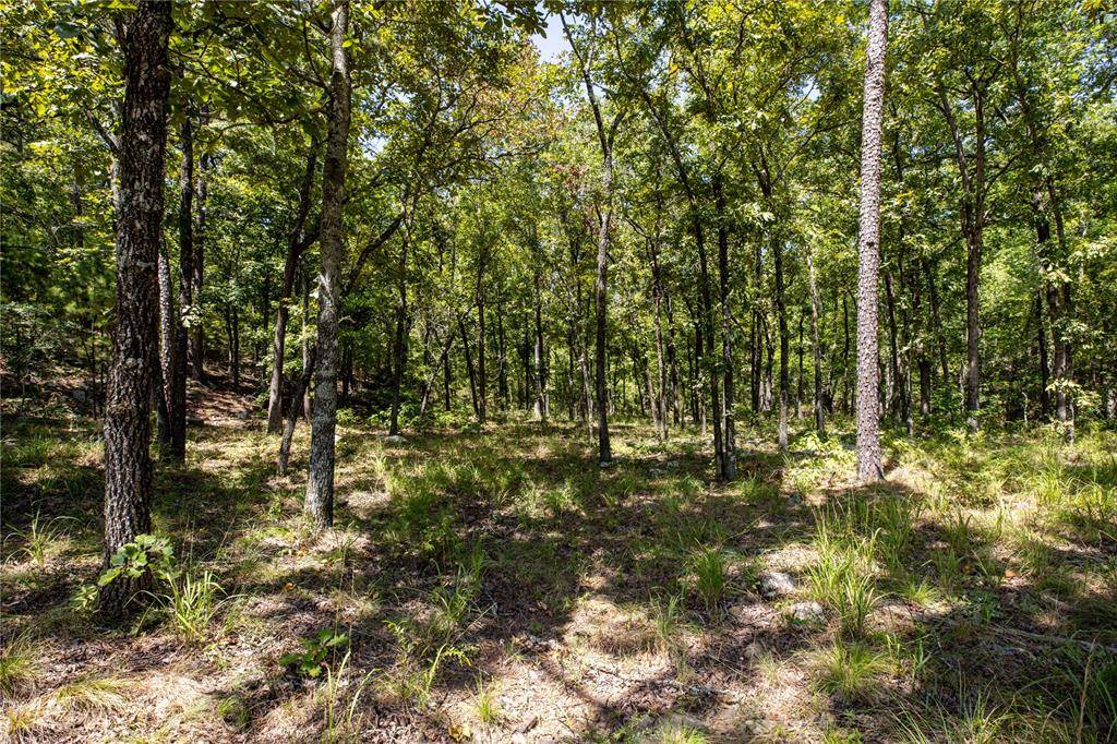 Tuskahoma, OK 74574,12 Timber Ridge Road