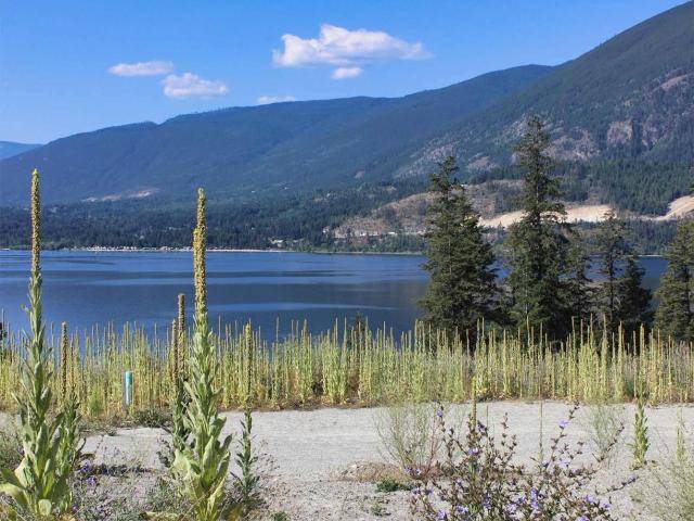 6 3648 BRAELYN ROAD, South Shuswap, BC V0E 2X1