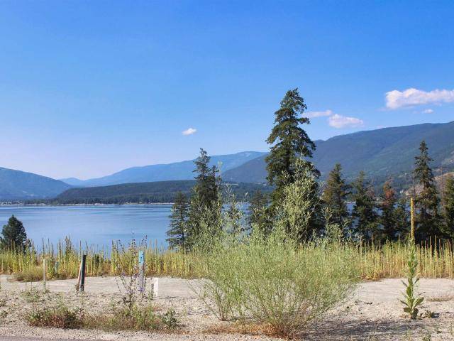 South Shuswap, BC V0E 2X1,9 3648 BRAELYN ROAD