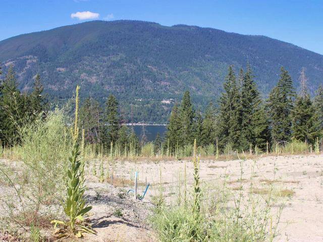 South Shuswap, BC V0E 2X1,11 3648 BRAELYN ROAD