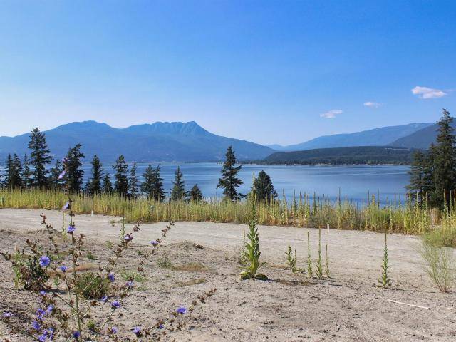 South Shuswap, BC V0E 2X1,11 3648 BRAELYN ROAD