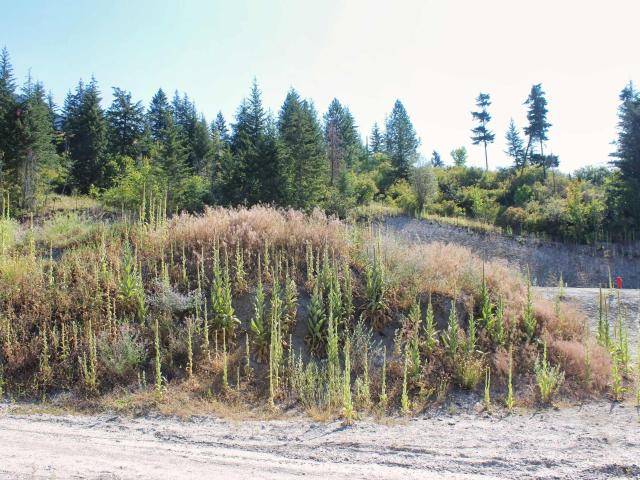 South Shuswap, BC V0E 2X1,12 3648 BRAELYN ROAD