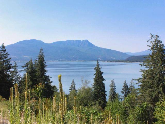South Shuswap, BC V0E 2X1,12 3648 BRAELYN ROAD