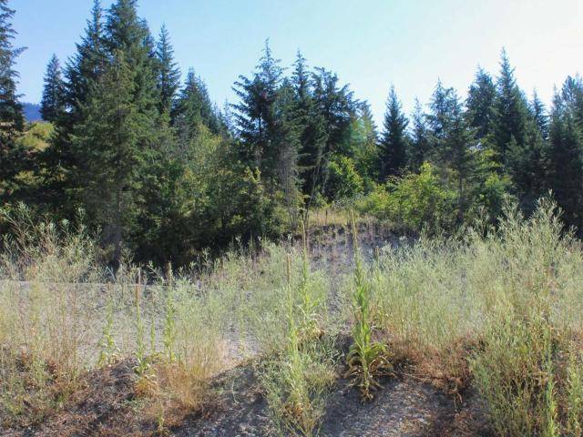 South Shuswap, BC V0E 2X1,13 3648 BRAELYN ROAD