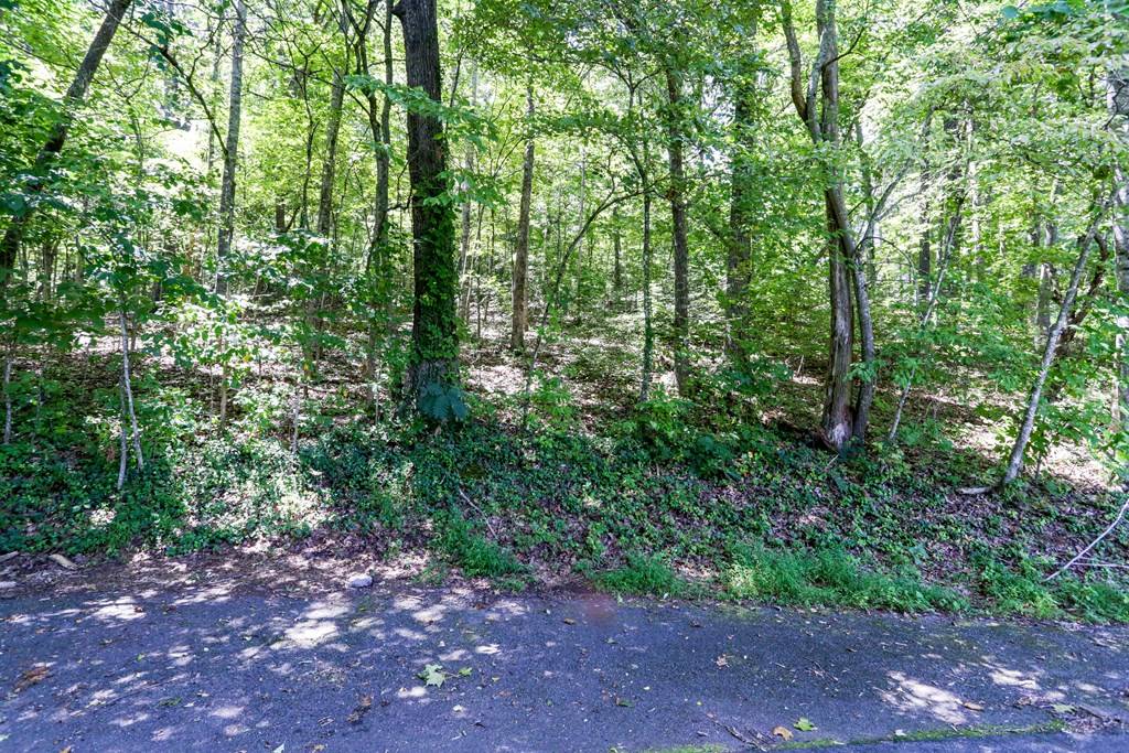 Hayesville, NC 28904,Lot #6 Kilpatrick Point Lane