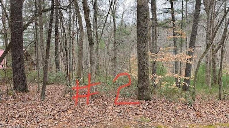 Stuart, VA 24171,Lot 2 Woods Haven Lane