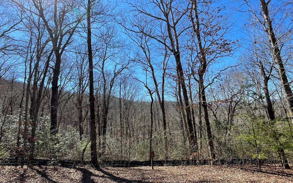 Hiawassee, GA 30546,Lot 9 Wolfpen Gap