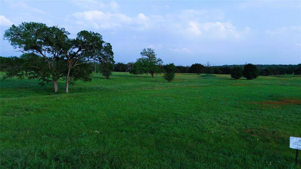 Lampasas, TX 76550,320 S Waterbuck Way