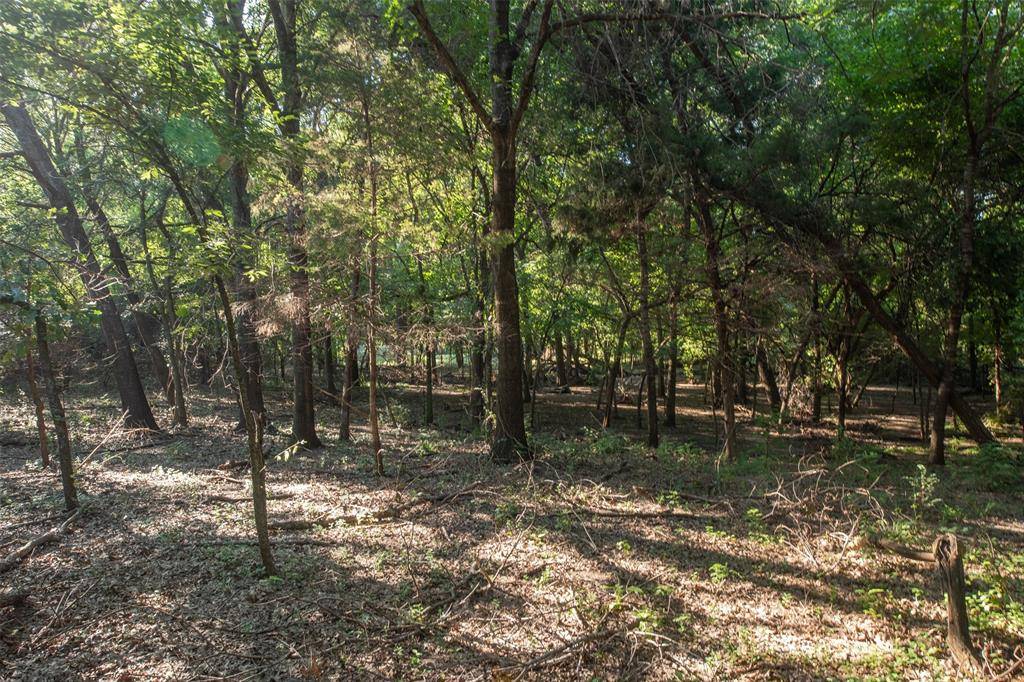 Fairview, TX 75069,TBD Lot 6 Orr Road