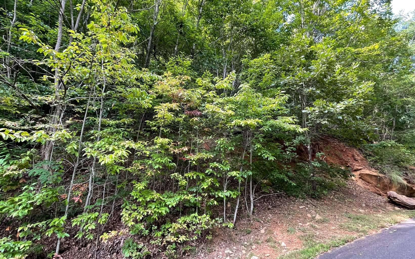 Young Harris, GA 30582,LT 34 Overlook At Yh