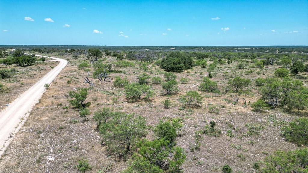 Menard, TX 76859,1963 Cave Wells Rd