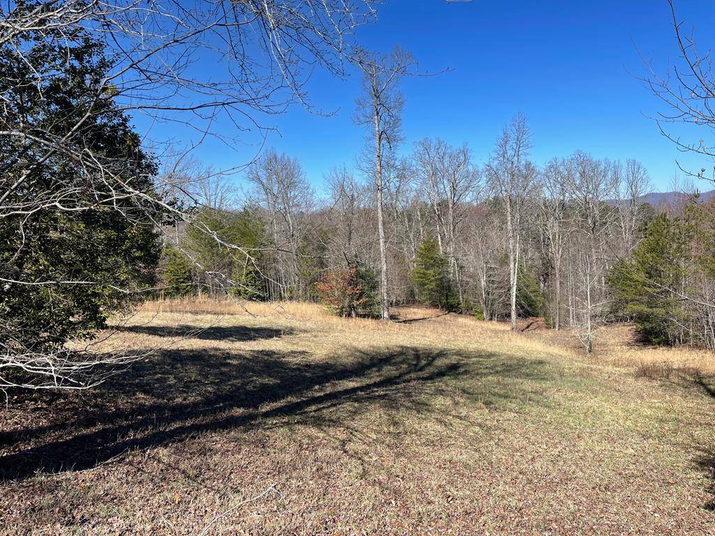 Blairsville, GA 30512,Lot 28 Fox Crossing Subdivision