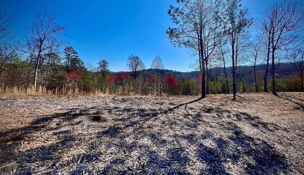 Mineral Bluff, GA 30559,Lot 21 Arbor Creek Trail