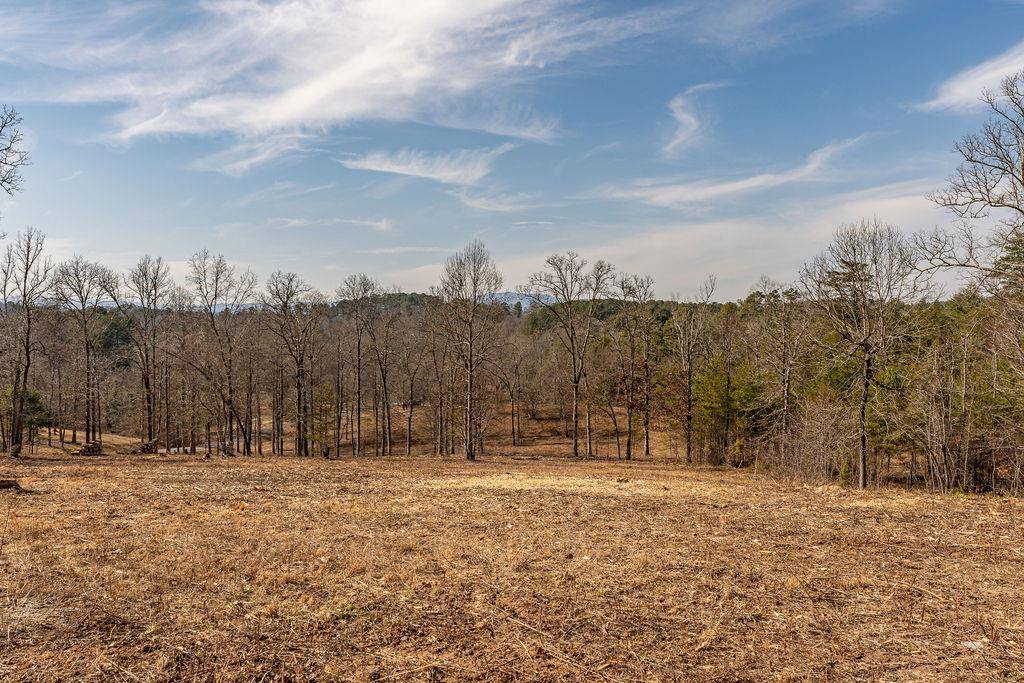 Mineral Bluff, GA 30559,Lot 7 Arbor Creek Trail