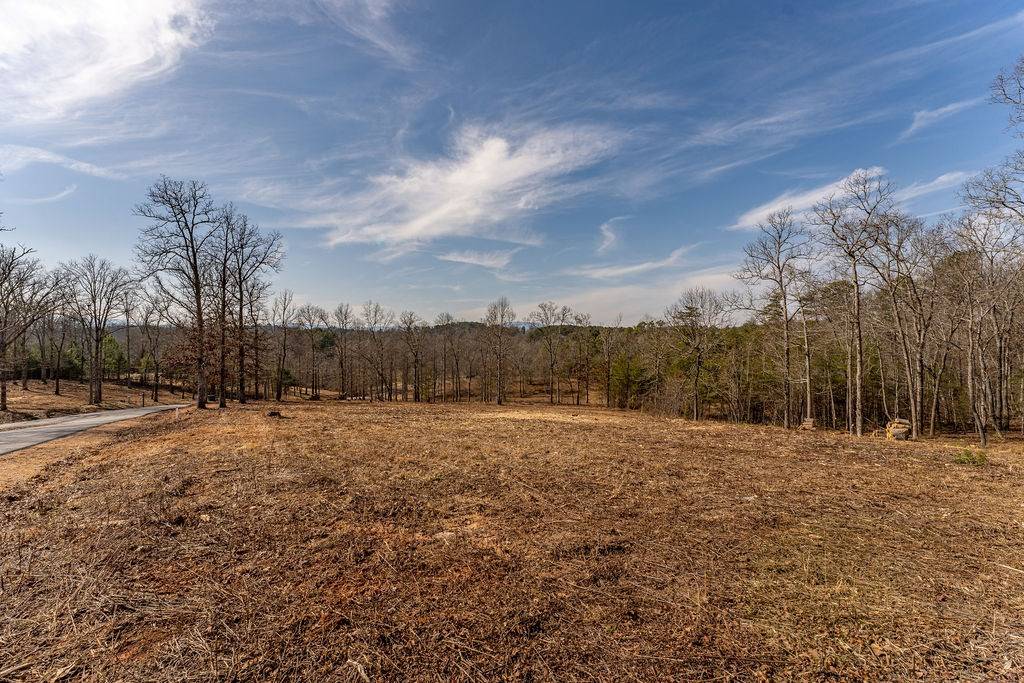 Mineral Bluff, GA 30559,Lot 7 Arbor Creek Trail