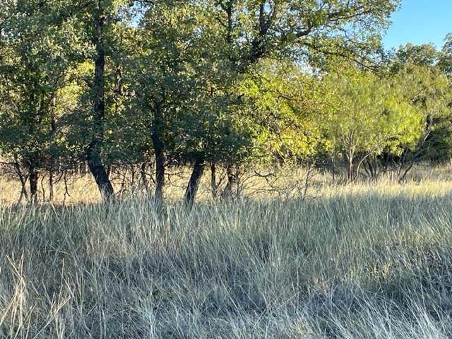 Lipan, TX 76462,XXX Creek Meadow Court